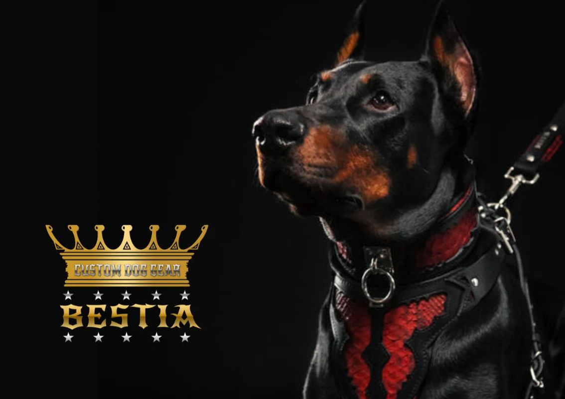 Picture Idea: The Doberman Elegance Loyalty And Power