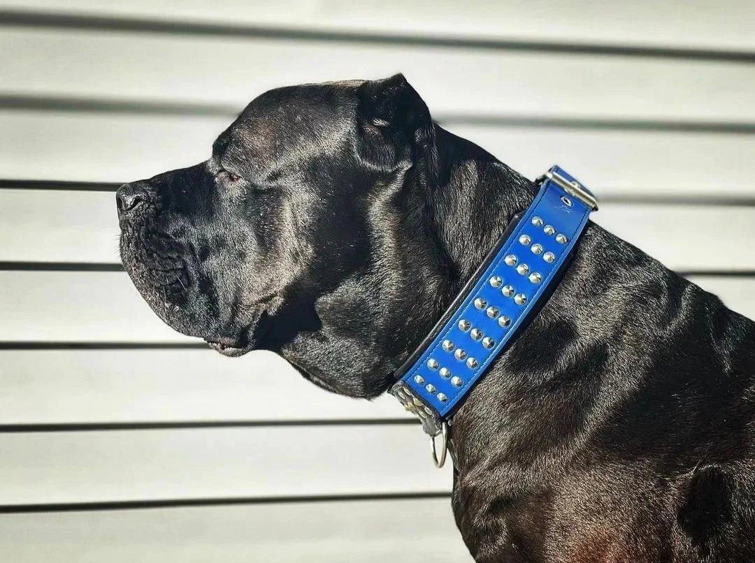 sets-for-large-to-giant-breeds-bestia-collars