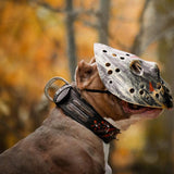 The "Haunted'' collar LIMITED - Bestia Collars