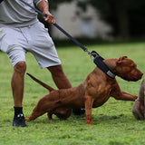 BESTIA DOG SPORT TACTICAL LEASH Training gear