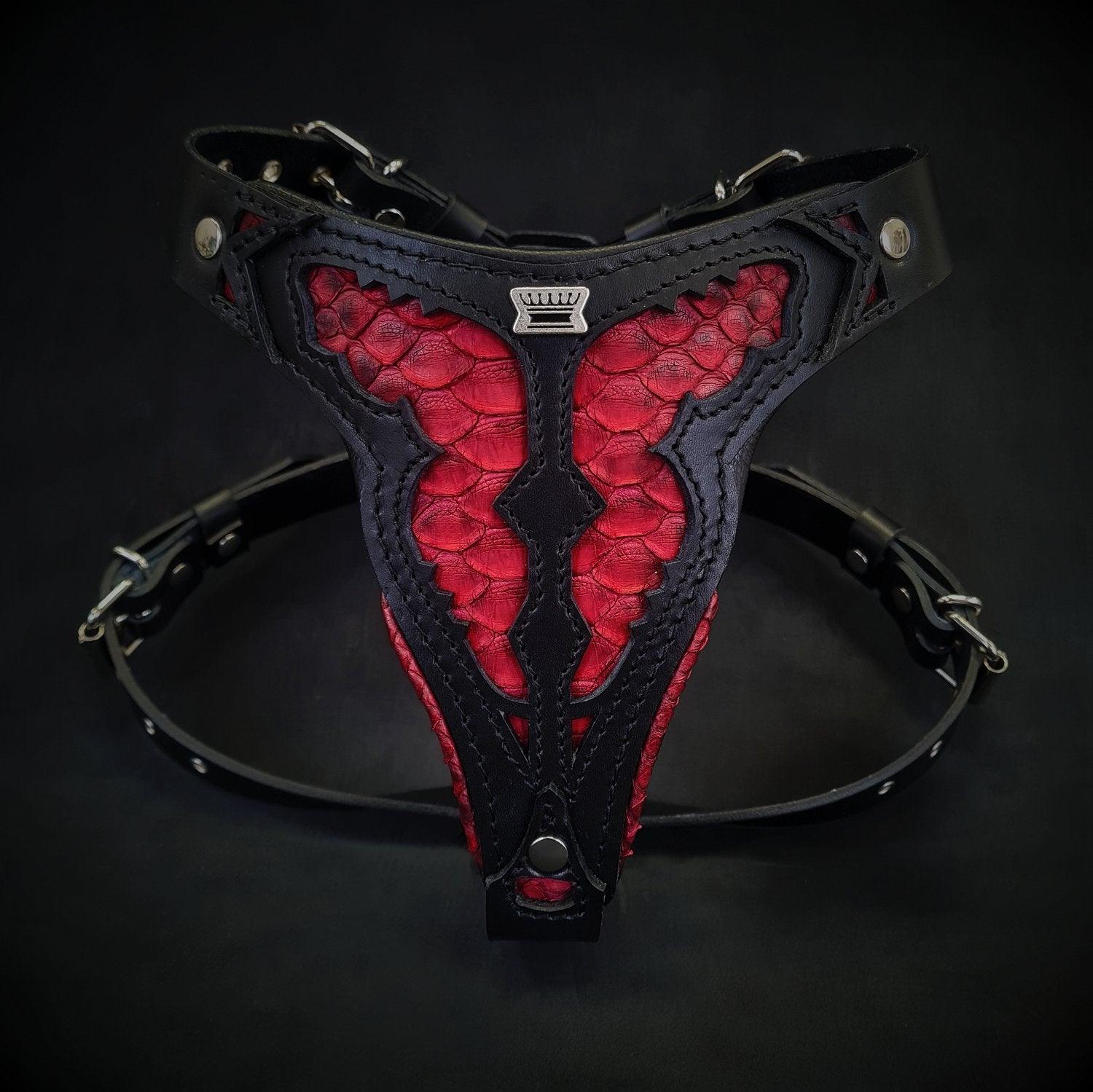 Red Dragon Harness Medium Size Bestia Collars red-dragon-harness-medium-size-bestia-collars