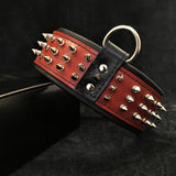 "Silver Giant" collar Red Collars