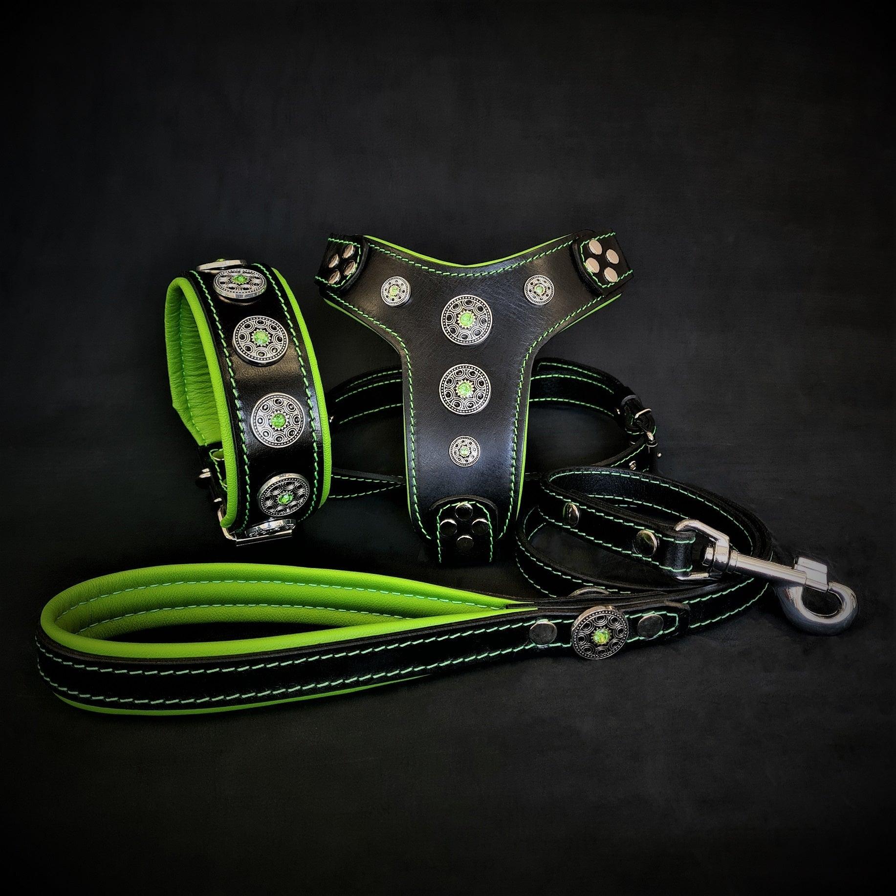 The Bijou SET Collar Harness Leash. Green Bestia Collars