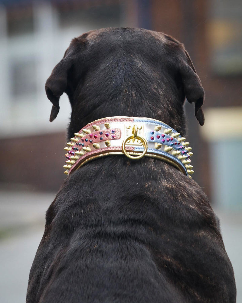 The ''Candy'' Dog Collar Collars
