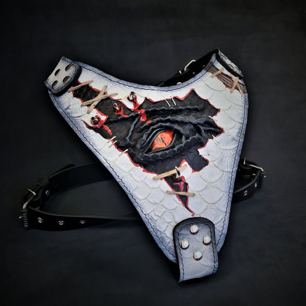The “Dragon's Eye” Harness LIMITED! Harnesses