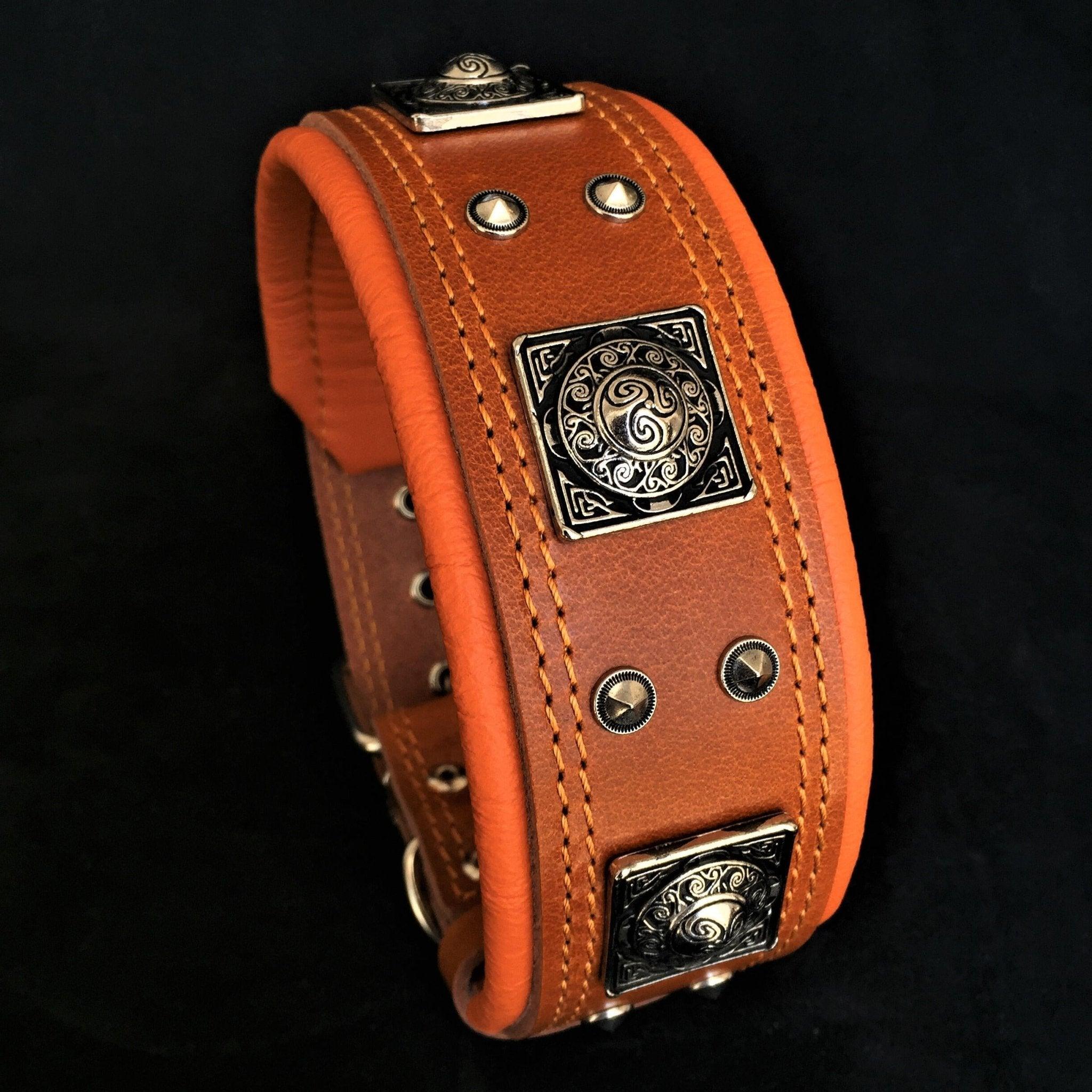 Large leather dog collars hotsell