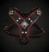 The ''Eros'' harness Black & Red Small to Medium Size Harnesses