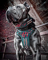 The "Haunted'' collar LIMITED Collars
