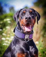 The ''Hexagon'' LIMITED collar exclusive design Limited Collars