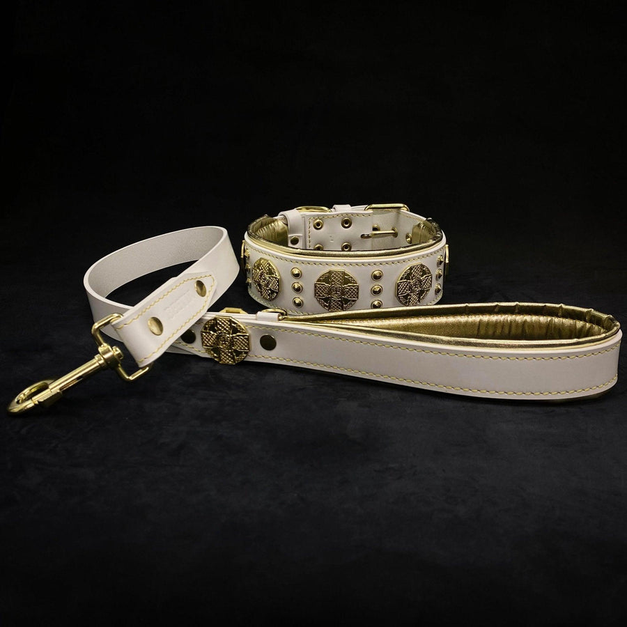 The “Maximus” collar & matching leash