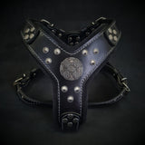 The ''Maximus'' harness black & silver Small to Medium Size Harnesses
