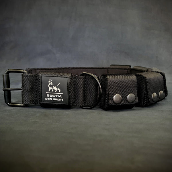 Weighted dog training collar. Large breeds. 5 lbs total. removable weights Collars