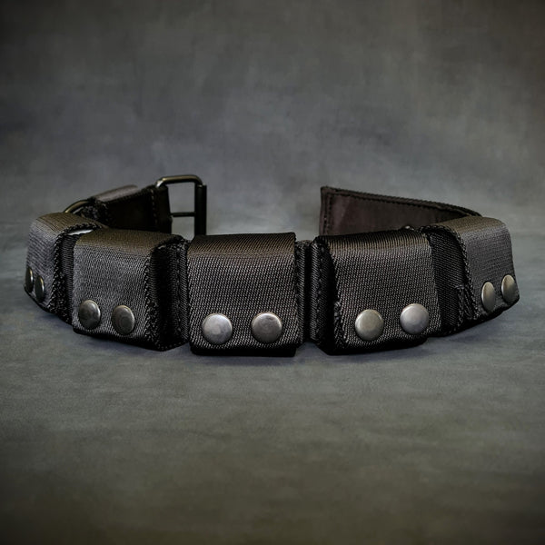 Weighted dog training collar. Large breeds. 5 lbs total. removable weights Collars