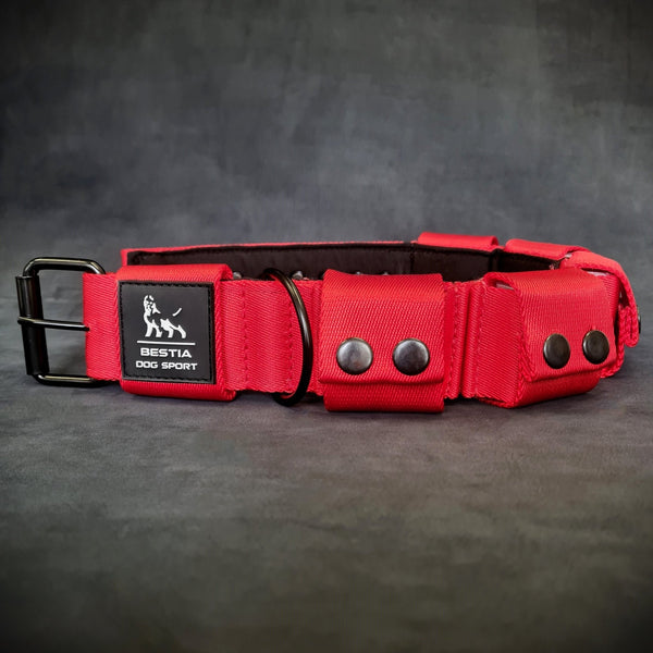 Weighted dog training collar- Red. Large breeds. 5 lbs total. removable weights Collars