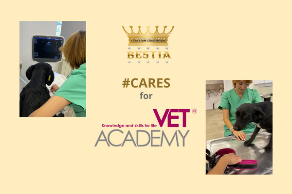 Bestia Cares for Vet Academy