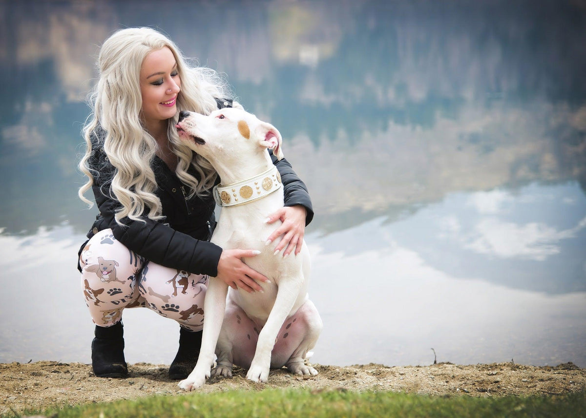 ピットブル – Bestia Collars, image size:1200x856