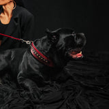 The "Balteus" red collar - Bestia Collars
