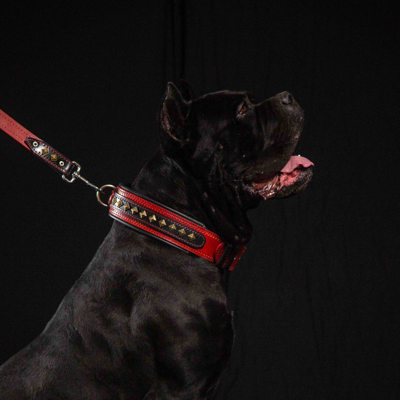 The "Balteus" red collar - Bestia Collars