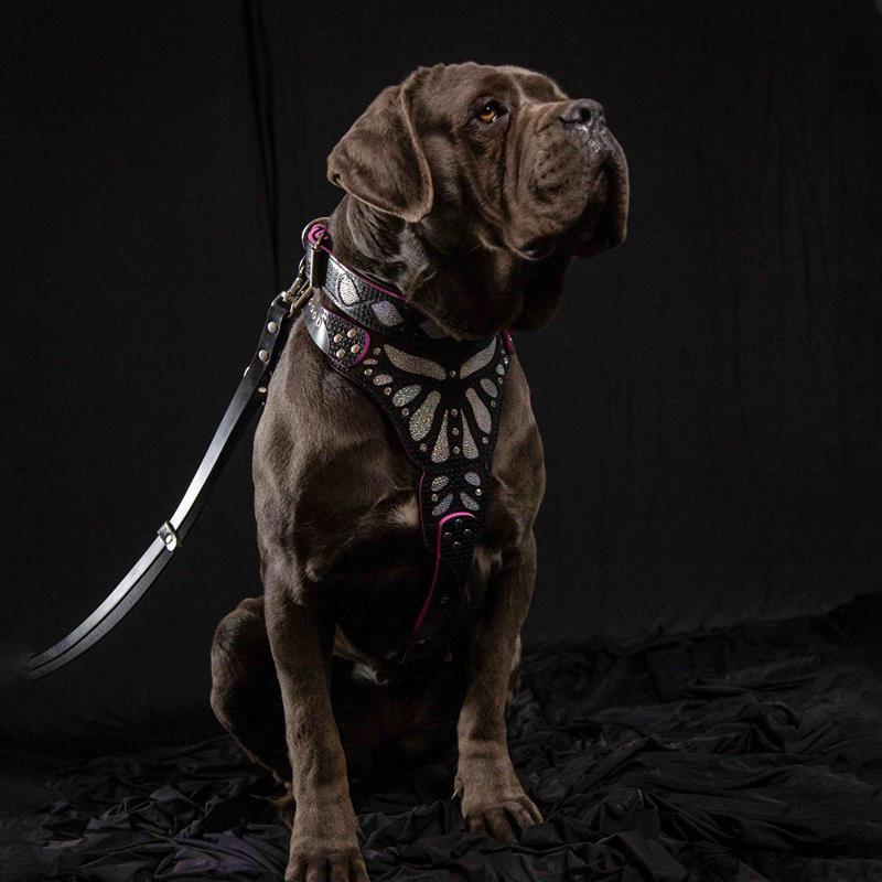 The ''Ariel'' collar - Bestia Collars