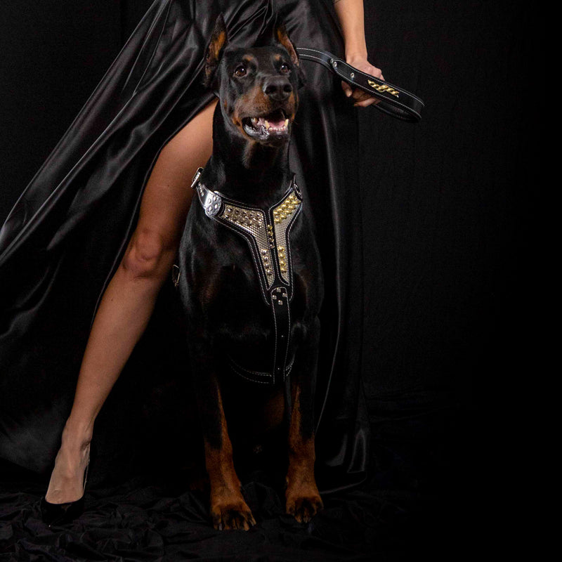 The ''Platinum'' harness - Bestia Collars