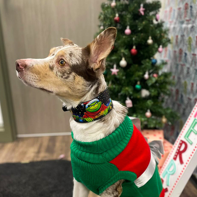 The Grinch Limited Collar