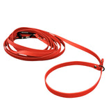 Long red leash for dog training 