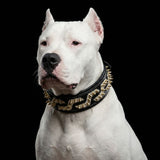 The ''Platinum'' collar - Bestia Collars