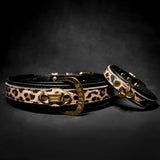 The Leopard Puppy Collar