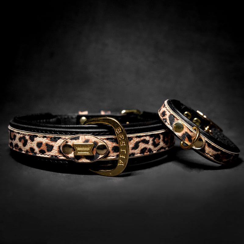 The Leopard Puppy Collar
