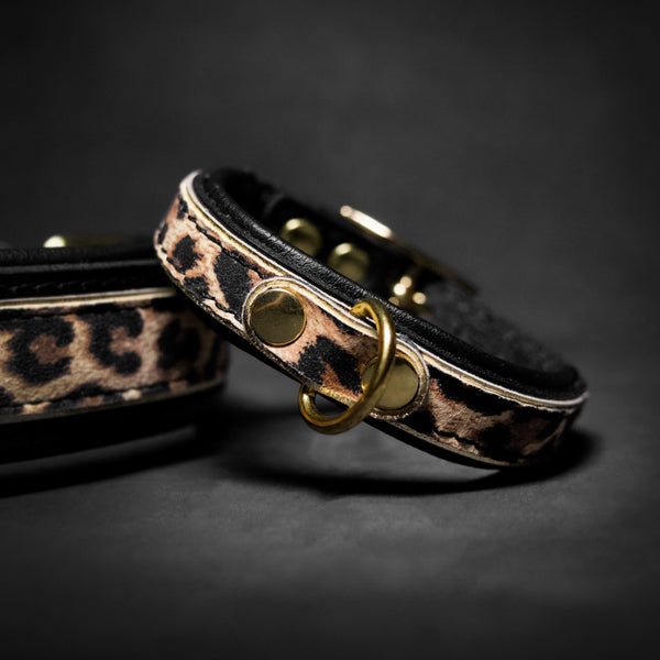 The Leopard Puppy Collar
