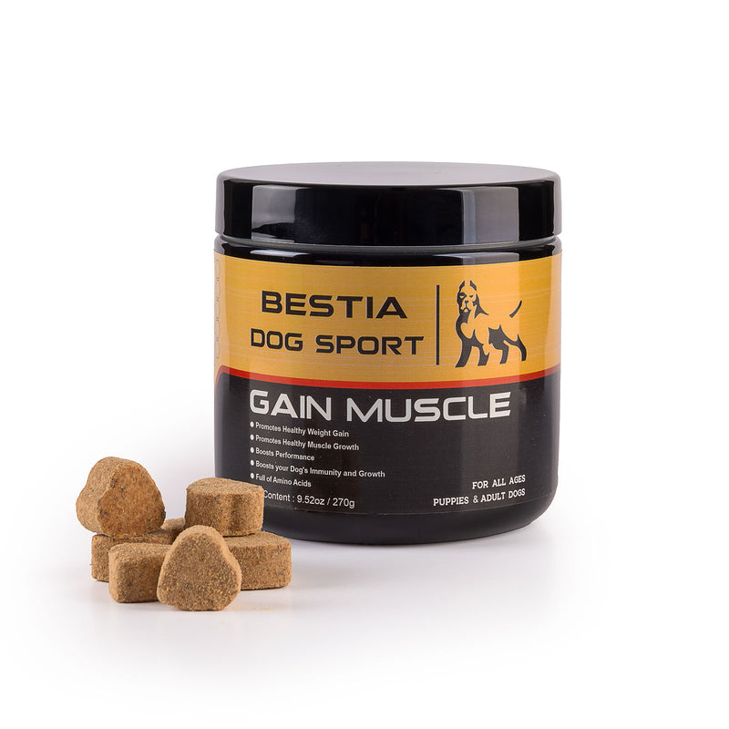 Dog food that builds muscle best sale