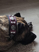 The "Hektor" Burgundy Collar LIMITED - Bestia Collars