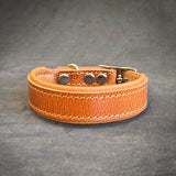 Clean Puppy collar