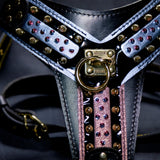 Nahaufnahme des Candy Black Geschirrs: schwarzes Leder, fliederfarbene und glitzernd-pinke Elemente, goldene Nieten und O-Ring aus Messing