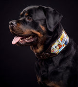 Rottweiler mit einem individuellen Halsband aus Leder, 7,1 cm breit, bedruckt mit dem eigenen Comic-Artwork des Besitzers