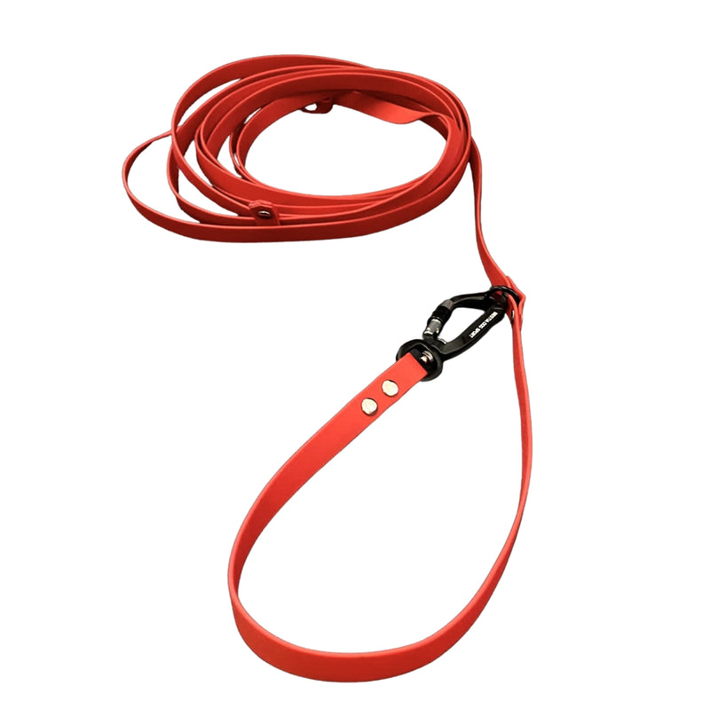 Long red leash for dog training 