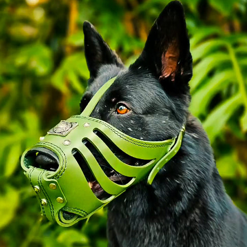 ''Eros'' Basket Muzzle GREEN