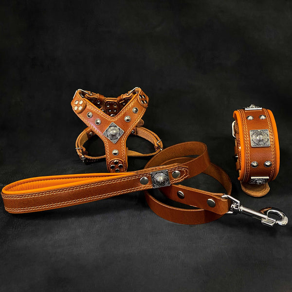 "EROS" Small to Medium dog SET - Harness - collar - lead. Brown