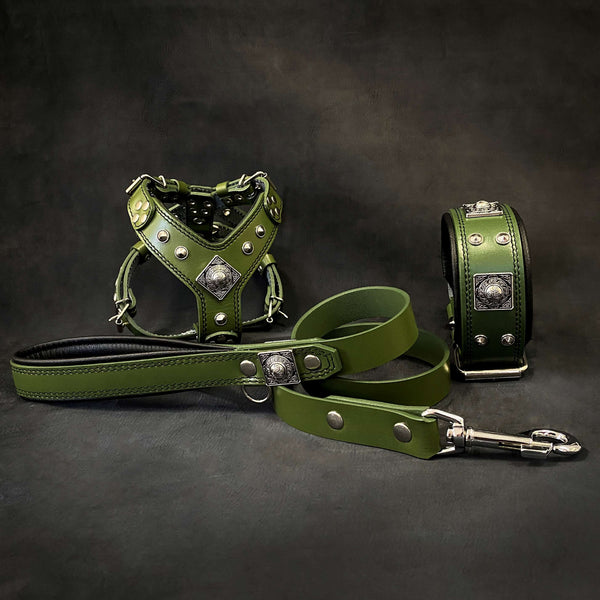 "EROS" Small to Medium dog SET - Harness - collar - lead. Green