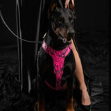The ''Rock Python'' harness PINK - Bestia Collars