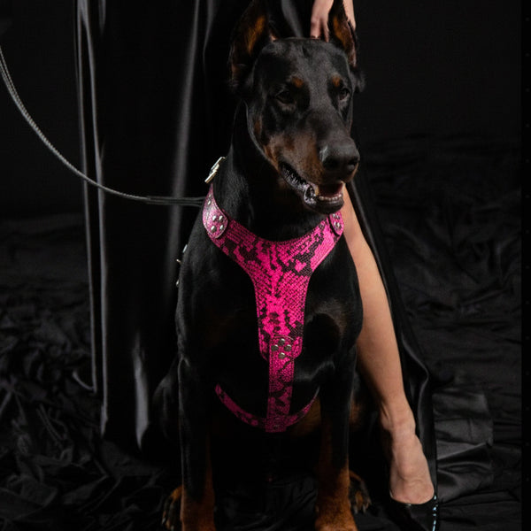 The ''Rock Python'' harness PINK - Bestia Collars
