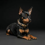 The Leopard Puppy Collar - Bestia Collars