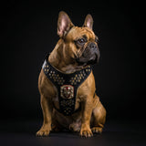 Irondog Harness Medium size