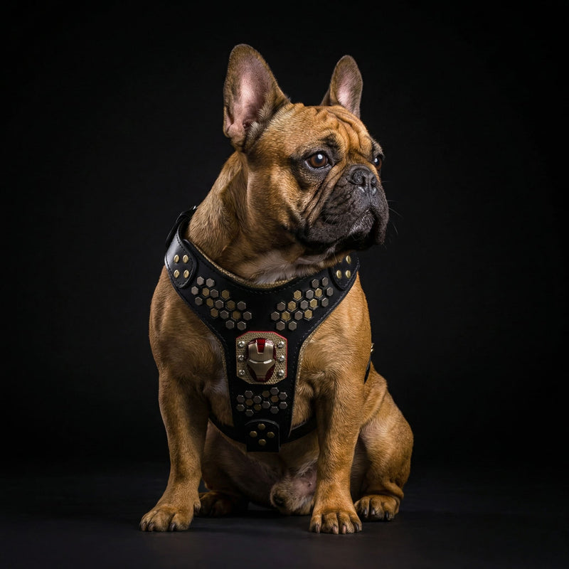 Irondog Harness Medium size – Bestia Collars