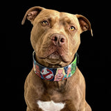 The “Ghosts” collar -LIMITED