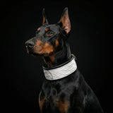 The ''Dragon Scale'' LIMITED collar exclusive design - Bestia Collars