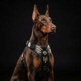 The Atlantis Harness