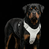 The ''Dragon Scale'' harness - Bestia Collars