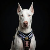 The "Candy" Black Harness - Bestia Collars