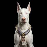 THE CANDY Harness - Bestia Collars